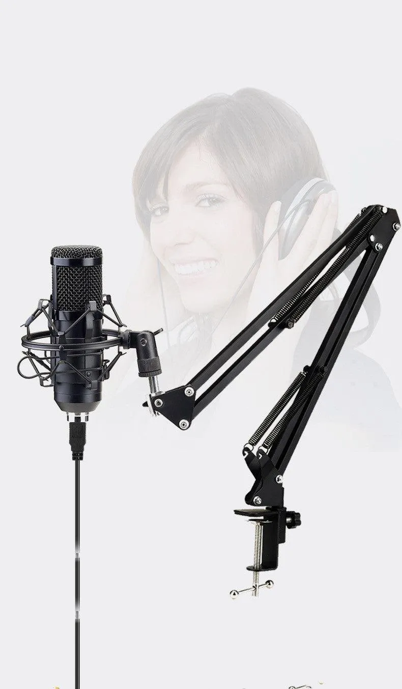 192KHz 24Bit BM-800 Condenser Microphone