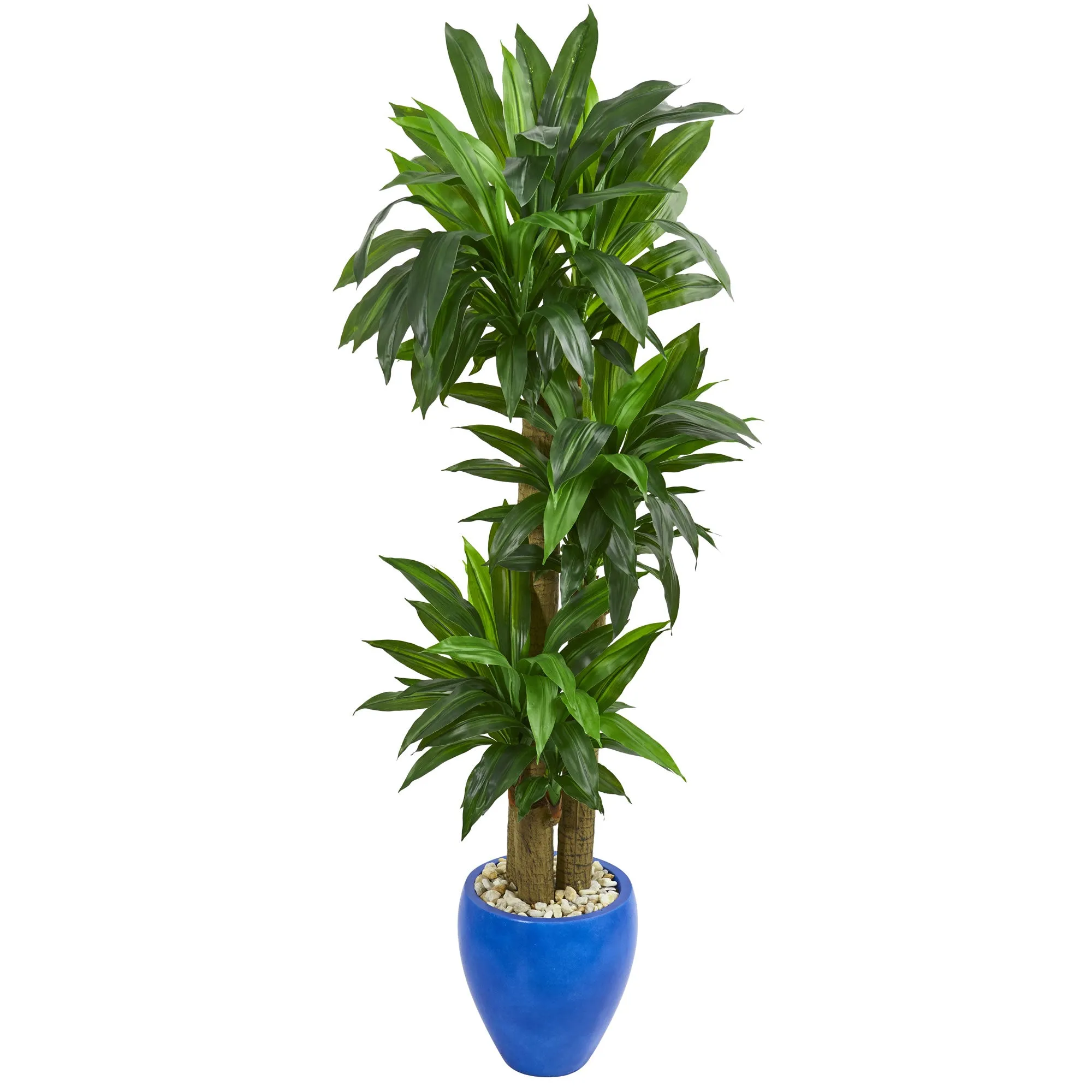 72" Artificial Cornstalk Dracaena Plant in Blue Planter (Real Touch) - Low Maintenance, Life-Like & Vibrant Silk Plants For Busy People.