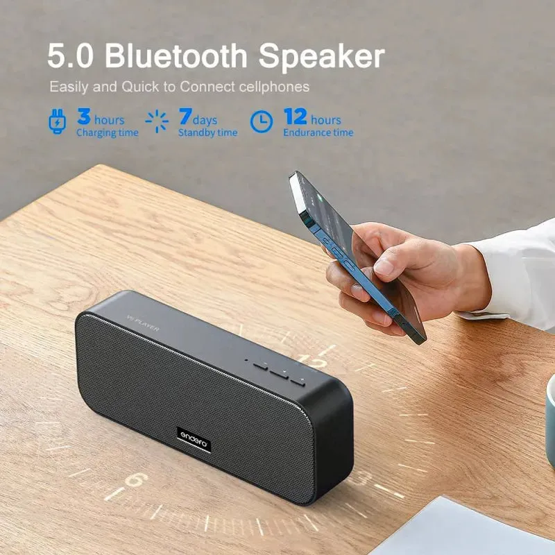 ENDEFO Entun'z V6 Portable Speaker