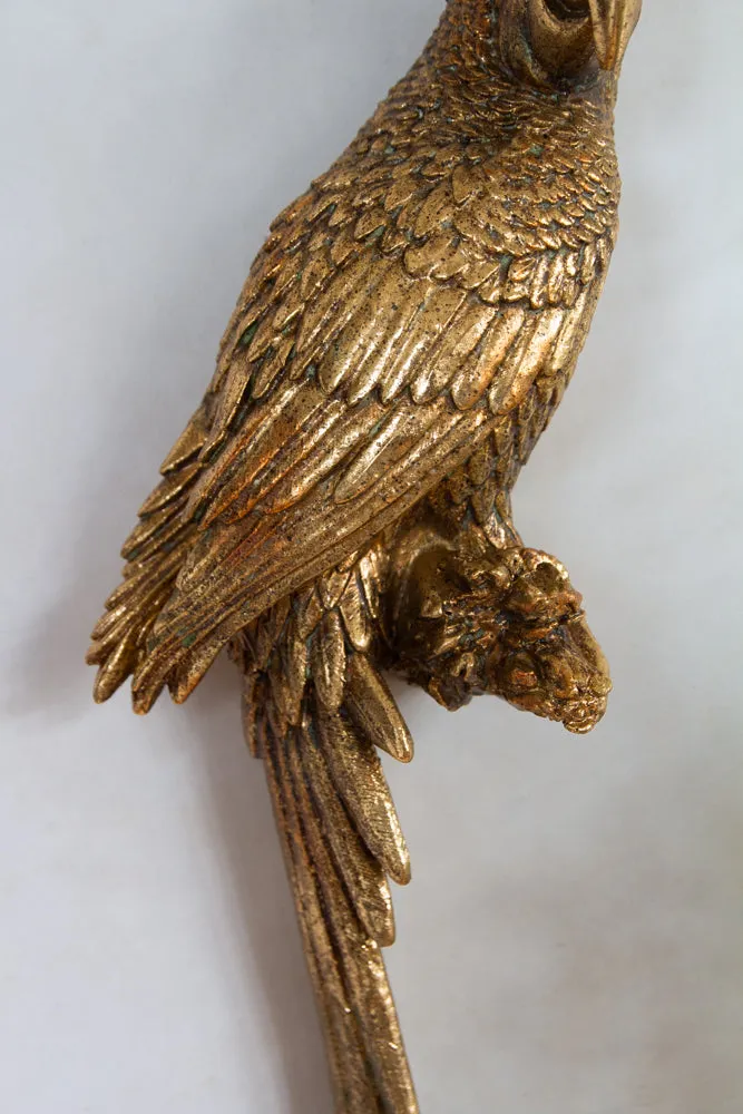 Golden Macaw Parrot Candle Holder