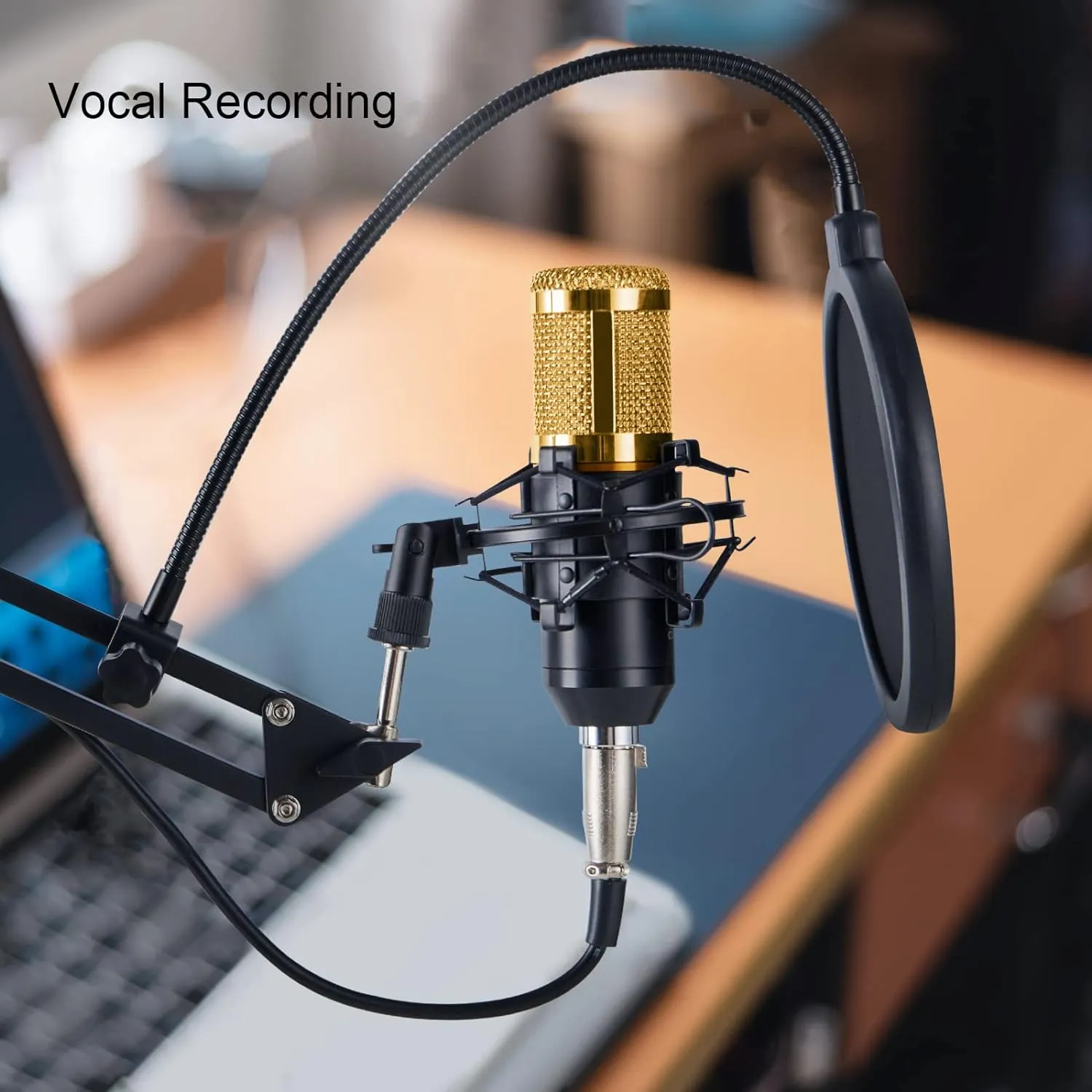 Professional Cardioid Condenser Microphone For Podcast M-800 Gold