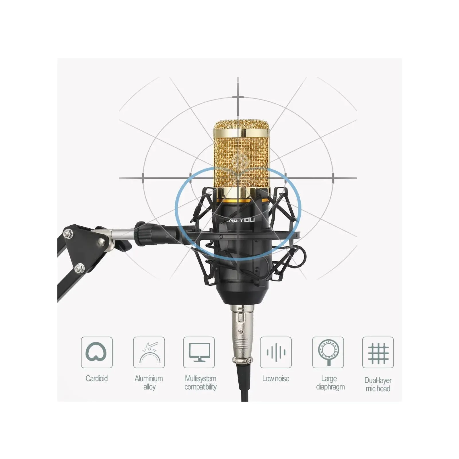 Professional Cardioid Condenser Microphone For Podcast M-800 Gold